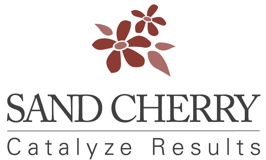 SandCherry Catalyze Results Logo